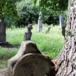 Személyes történelem: sírok a mánfai temetőben